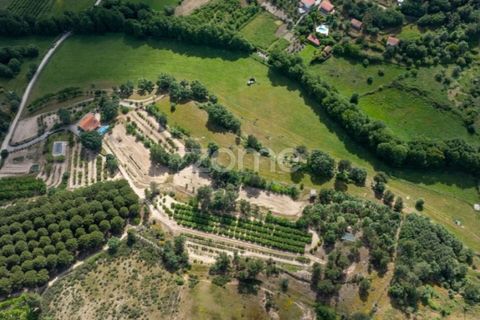Farm i Guarda, Guarda, Guarda - € 600.000 | Ref: ZMPT589085 - foto 39