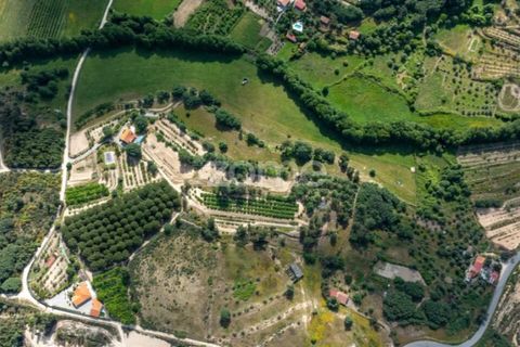 Farm i Guarda, Guarda, Guarda - € 600.000 | Ref: ZMPT589085 - foto 40