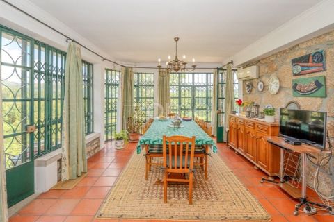 Farm i Guarda, Guarda, Guarda - € 600.000 | Ref: ZMPT589085 - foto 3