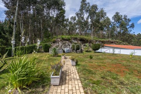 Villa i Fafe, Braga, Fafe - € 325.000 | Ref: ZMPT580713 - foto 27