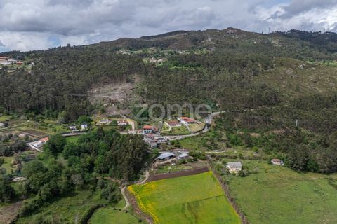 Villa i Fafe, Braga, Fafe - € 325.000 | Ref: ZMPT580713 - foto 30