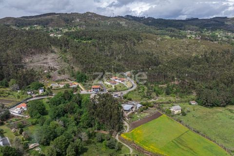 Villa i Fafe, Braga, Fafe - € 325.000 | Ref: ZMPT580713 - foto 33