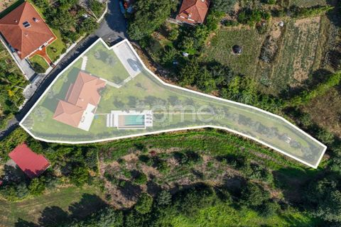 Farm i Ponte de Lima, Viana do Castelo, Ponte de Lima - € 875.000 | Ref: ZMPT569861 - foto 39
