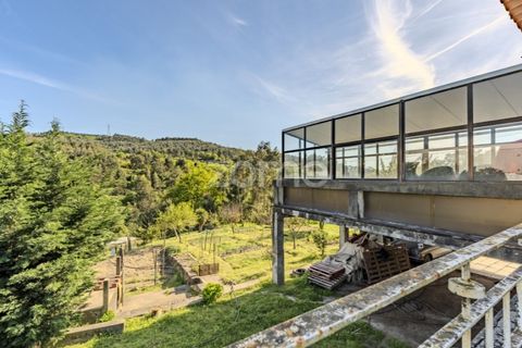 Villa i Braga, Braga, Braga - € 895.000 | Ref: ZMPT587421 - foto 23