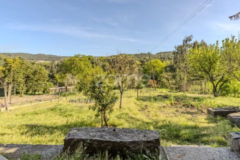 Villa i Braga, Braga, Braga - € 895.000 | Ref: ZMPT587421 - foto 30