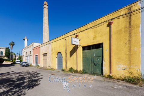 Erhvervsejendom i Alezio, Lecce, Alezio - € 80.000 | Ref: ALIL-80 - foto 6