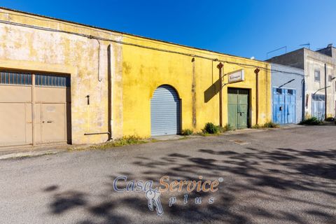 Erhvervsejendom i Alezio, Lecce, Alezio - € 80.000 | Ref: ALIL-80 - foto 7