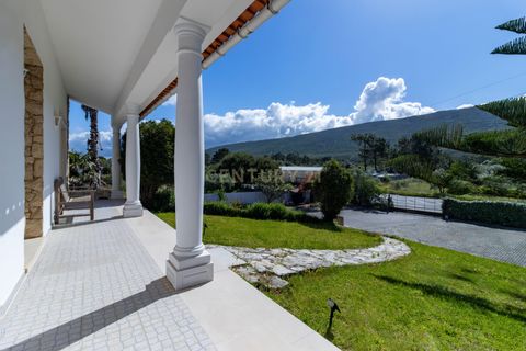 Villa i Alcobaca, Leiria, Alcobaca - € 585.000 | Ref: 0563-01897 - foto 4