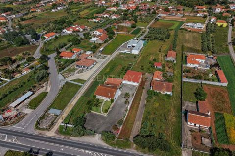 Villa i Alcobaca, Leiria, Alcobaca - € 585.000 | Ref: 0563-01897 - foto 29