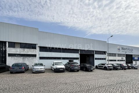 Erhvervsejendom i Maia, Porto, Maia - € 740.000 | Ref: 352260073 - foto 19