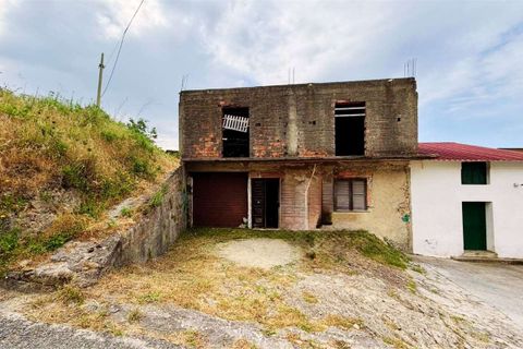 Terra a Belvedere Marittimo, Cosenza, Belvedere Marittimo - € 19.000 | Ref: 1561 - foto 2