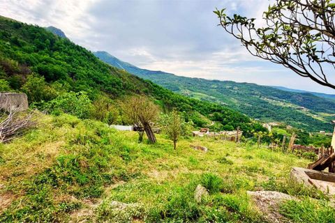 Terra a Belvedere Marittimo, Cosenza, Belvedere Marittimo - € 19.000 | Ref: 1561 - foto 3