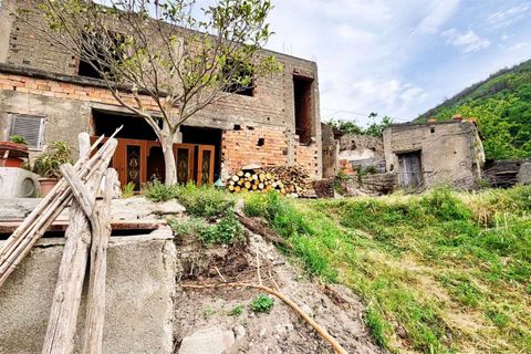Terra a Belvedere Marittimo, Cosenza, Belvedere Marittimo - € 19.000 | Ref: 1561 - foto 4