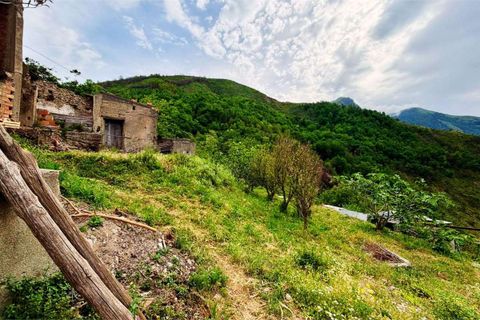 Terra a Belvedere Marittimo, Cosenza, Belvedere Marittimo - € 19.000 | Ref: 1561 - foto 5