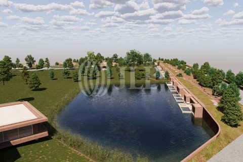 Villa i Santiago do Cacem, Setubal, Santiago do Cacem - € 2.099.000 | Ref: 97980 - foto 8