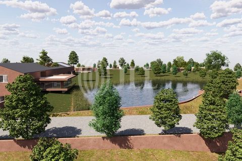 Villa i Santiago do Cacem, Setubal, Santiago do Cacem - € 1.349.000 | Ref: 97974 - foto 9
