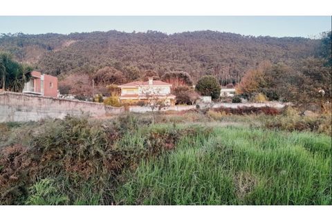 Helårsgrund i Viana do Castelo, Viana do Castelo, Viana do Castelo - € 82.000 | Ref: VCC14736 - foto 6