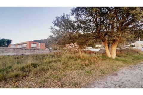 Helårsgrund i Viana do Castelo, Viana do Castelo, Viana do Castelo - € 82.000 | Ref: VCC14736 - foto 14