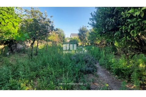 Villa i Areosa, Viana do Castelo, Areosa - € 310.000 | Ref: VCM14487(1) - foto 19