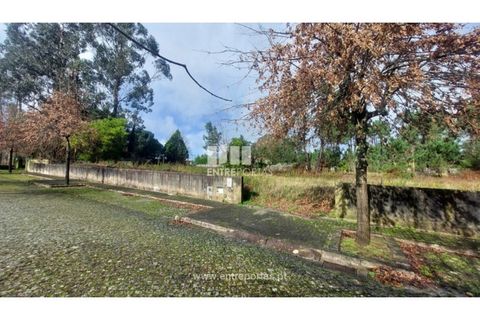 Helårsgrund i Esposende, Braga, Esposende - € 62.500 | Ref: 5131 - foto 20
