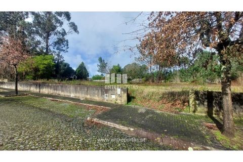 Helårsgrund i Esposende, Braga, Esposende - € 62.500 | Ref: 5131 - foto 25