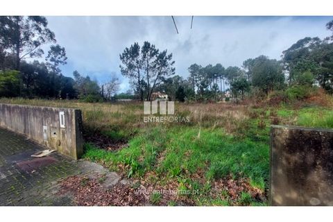 Helårsgrund i Esposende, Braga, Esposende - € 62.500 | Ref: 5132 - foto 9
