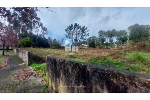 Helårsgrund i Esposende, Braga, Esposende - € 62.500 | Ref: 5132 - foto 11