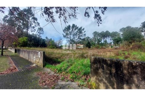 Helårsgrund i Esposende, Braga, Esposende - € 62.500 | Ref: 5132 - foto 18