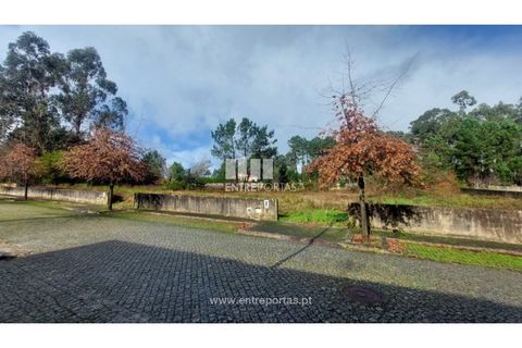Helårsgrund i Esposende, Braga, Esposende - € 62.500 | Ref: 5132 - foto 21
