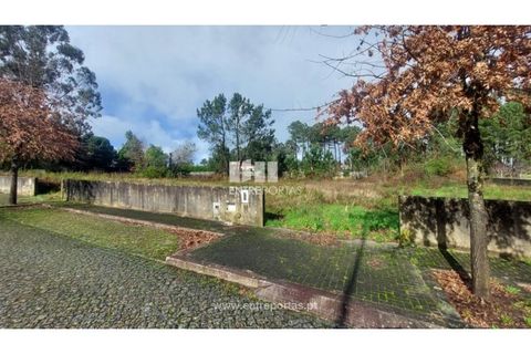 Helårsgrund i Esposende, Braga, Esposende - € 62.500 | Ref: 5132 - foto 23