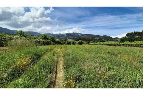 Villa i Ponte de Lima, Viana do Castelo, Ponte de Lima - € 235.000 | Ref: VCM14639 - foto 13