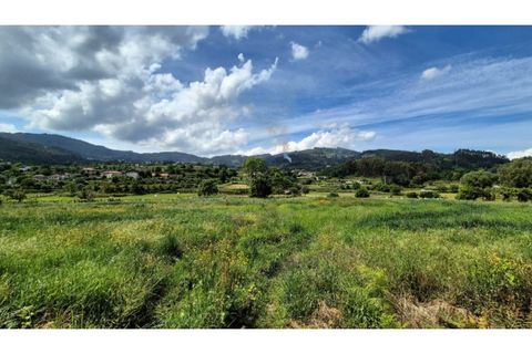 Villa i Ponte de Lima, Viana do Castelo, Ponte de Lima - € 235.000 | Ref: VCM14639 - foto 19