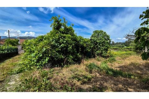 Villa i Ponte de Lima, Viana do Castelo, Ponte de Lima - € 235.000 | Ref: VCM14639 - foto 29