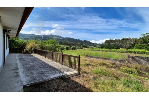 Villa i Ponte de Lima, Viana do Castelo, Ponte de Lima - € 235.000 | Ref: VCM14639 - foto 43
