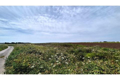 Helårsgrund i Areosa, Viana do Castelo, Areosa - € 26.000 | Ref: VCM14652 - foto 3