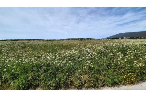Helårsgrund i Areosa, Viana do Castelo, Areosa - € 26.000 | Ref: VCM14652 - foto 9