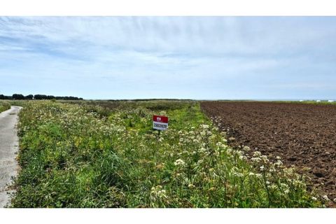 Helårsgrund i Areosa, Viana do Castelo, Areosa - € 26.000 | Ref: VCM14652 - foto 18