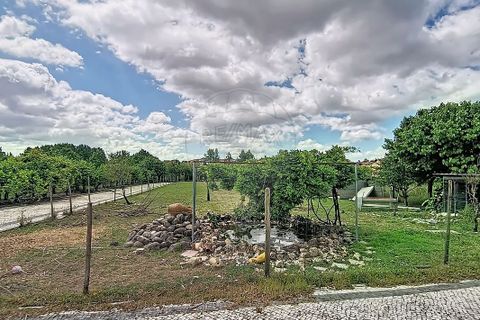 Villa a Mealhada, Aveiro, Mealhada - € 435.000 | Ref: M-30862 - foto 8