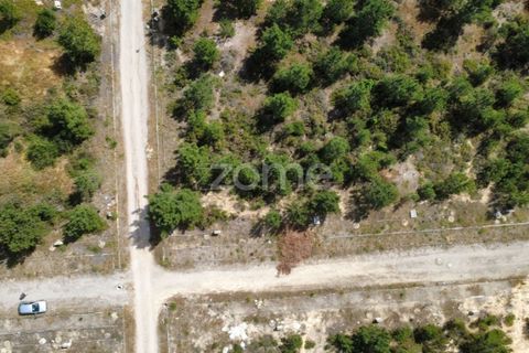 Helårsgrund i Quinta do Conde, Setubal, Quinta do Conde - € 65.000 | Ref: ZMPT589128 - foto 6