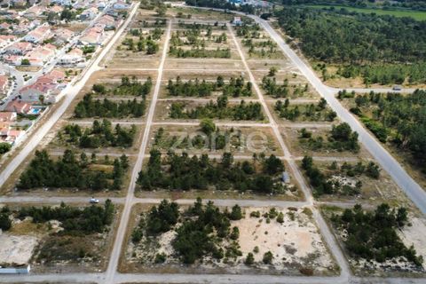 Helårsgrund i Quinta do Conde, Setubal, Quinta do Conde - € 65.000 | Ref: ZMPT589128 - foto 11