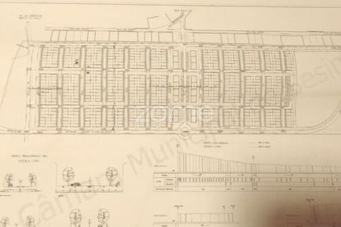 Helårsgrund i Quinta do Conde, Setubal, Quinta do Conde - € 65.000 | Ref: ZMPT589128 - foto 13