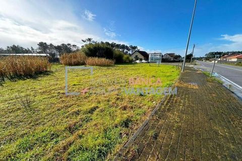 Helårsgrund i Vagos, Aveiro, Vagos - € 31.500 | Ref: T-30816 - foto 1