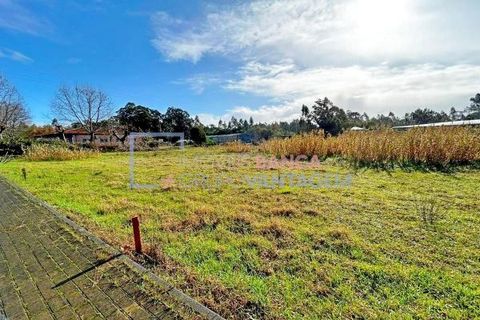 Helårsgrund i Vagos, Aveiro, Vagos - € 31.500 | Ref: T-30816 - foto 2