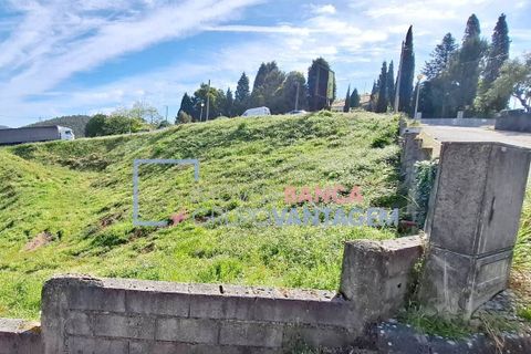 Helårsgrund i Mealhada, Aveiro, Mealhada - € 181.000 | Ref: T-30854 - foto 5
