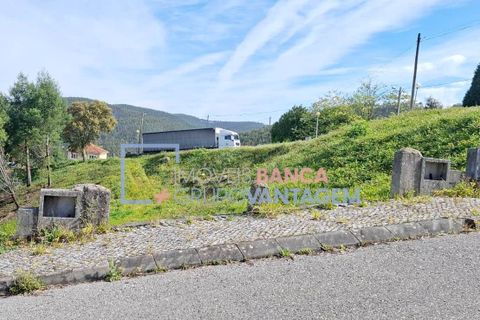 Helårsgrund i Mealhada, Aveiro, Mealhada - € 181.000 | Ref: T-30854 - foto 8