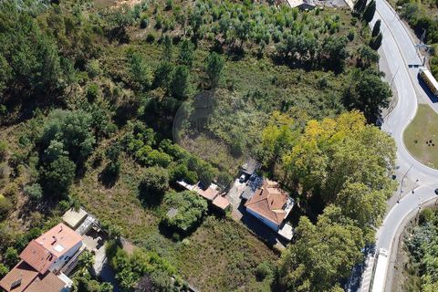 Villa i Anadia, Aveiro, Anadia - € 230.000 | Ref: M-30858 - foto 2