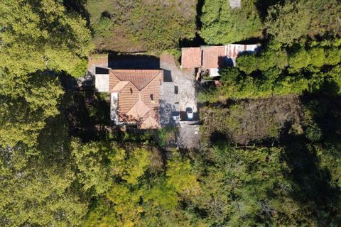 Villa i Anadia, Aveiro, Anadia - € 230.000 | Ref: M-30858 - foto 5