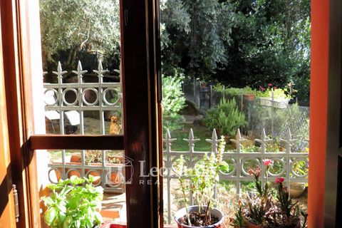 Villa i Seravezza, Lucca, Seravezza - € 195.000 | Ref: S262 - foto 35