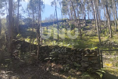 Helårsgrund i Arcos de Valdevez, Viana do Castelo, Arcos de Valdevez - € 10.000 | Ref: UNU.I.227.23362 - foto 2