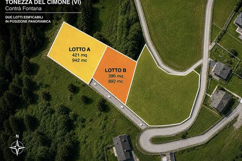 Terra a Tonezza del Cimone, Vicenza, Tonezza del Cimone - € 37.500 | Ref: 772 - foto 3
